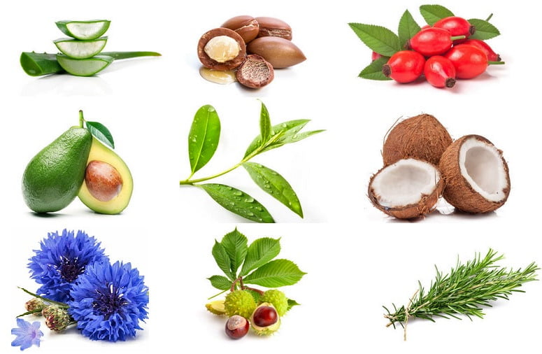 ingrediente naturale